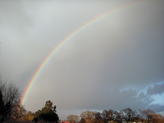 1 March 2007