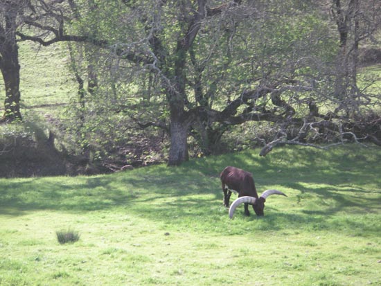 10 March 2007