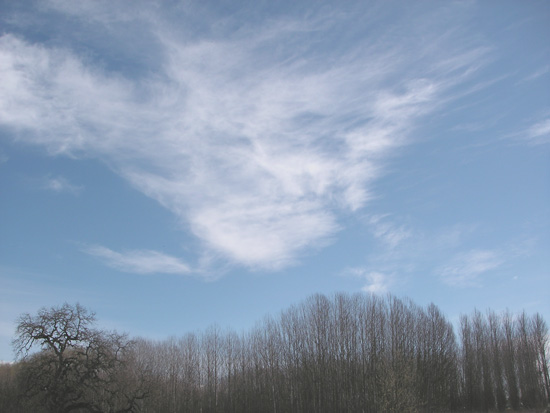 25 February 2008