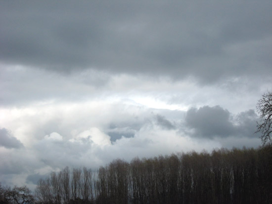 25 February 2009