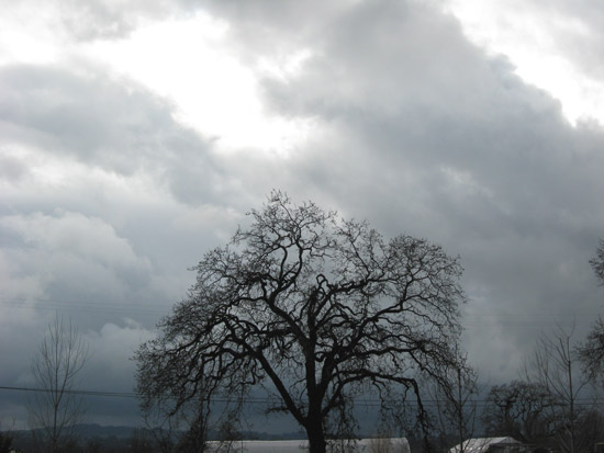 25 February 2009