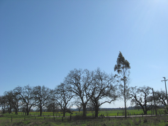 7 March 2009
