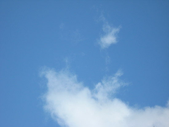17 March 2009