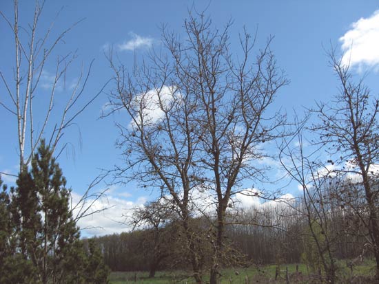 22 March 2009