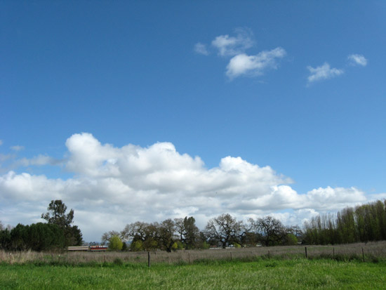 8 March 2010