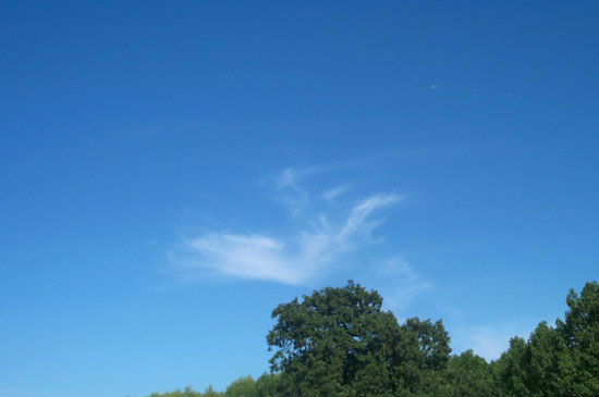 15 May 2004