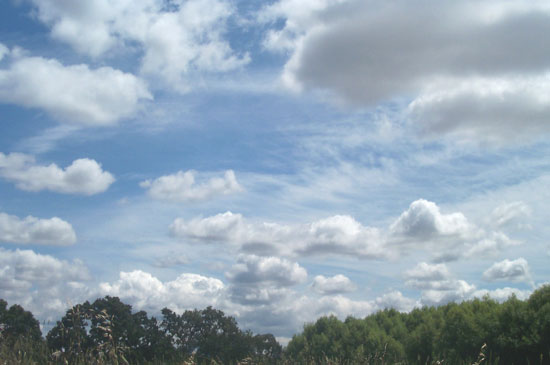 18 May 2004