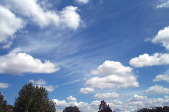 18 May 2004