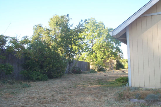 23 May 2004