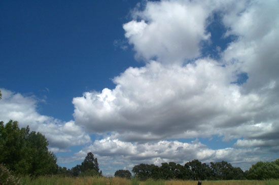 28 May 2004