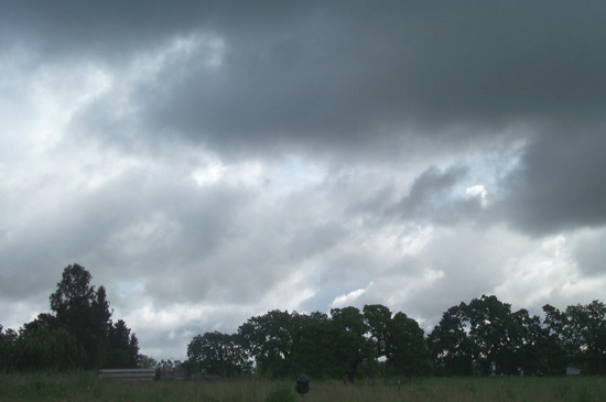 5 May 2005