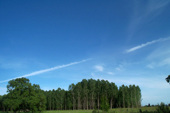 12 May 2005