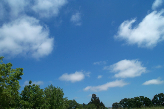 26 May 2005