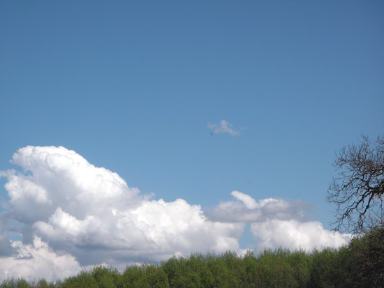13 April 2006