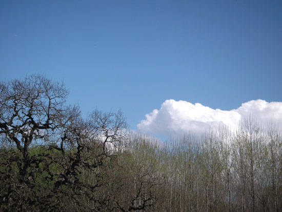 13 April 2006