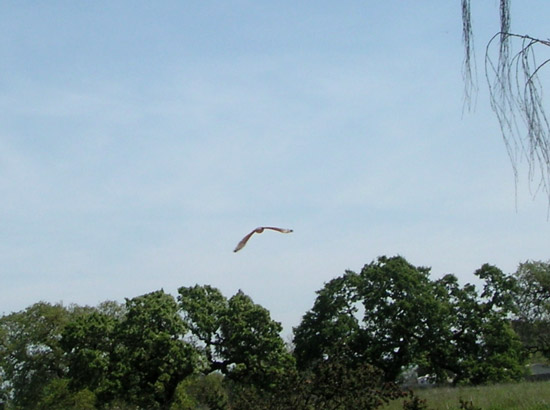 9 May 2006