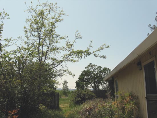 1 May 2008