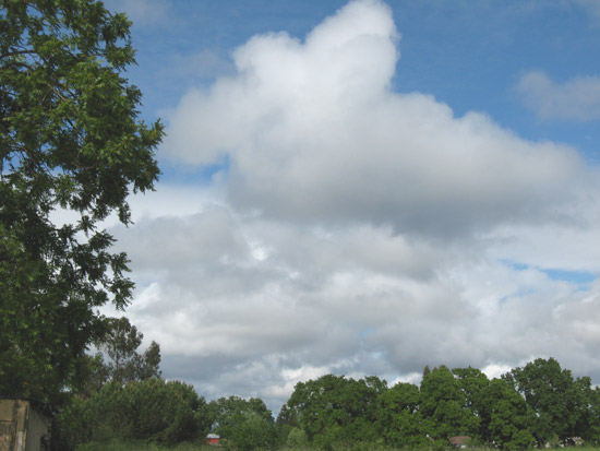 5 May 2009