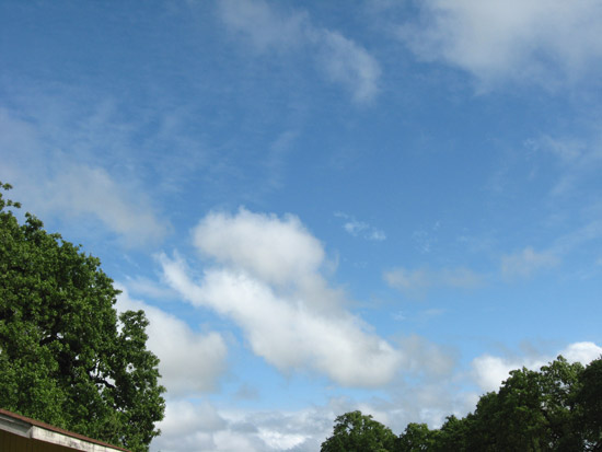 5 May 2009