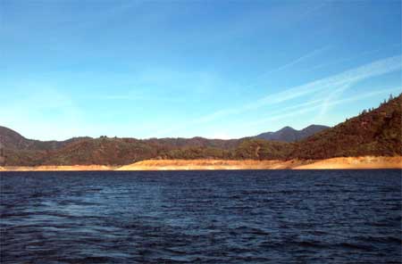 the view from our cove