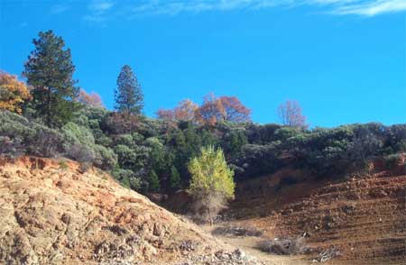 colors in the cove