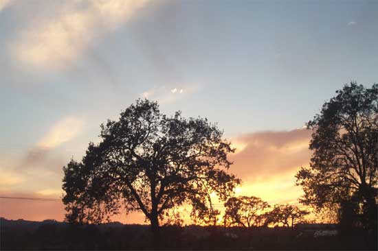 sunset