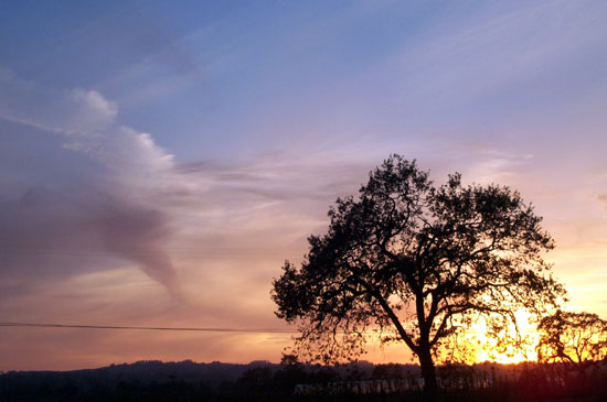sunset