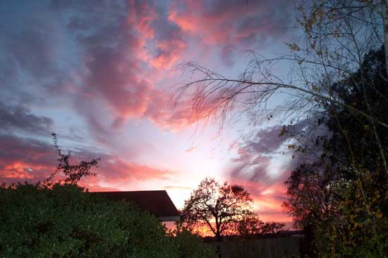 sunset