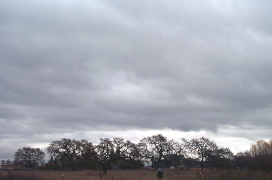 30 November 2003