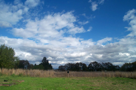 4 November 2004