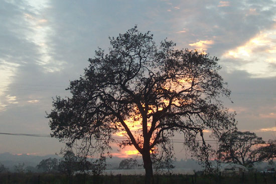 16 November 2004