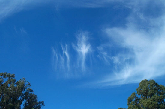 22 November 2004