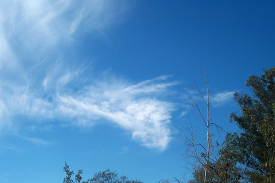 22 November 2004