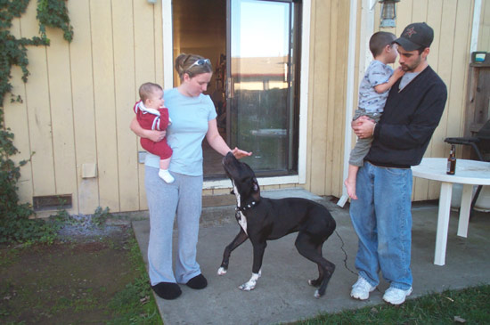 28 November 2004