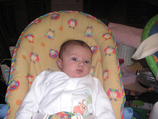 2 November 2005