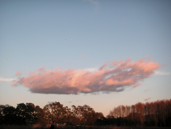 11 November 2006