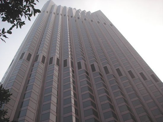 19 November 2006
