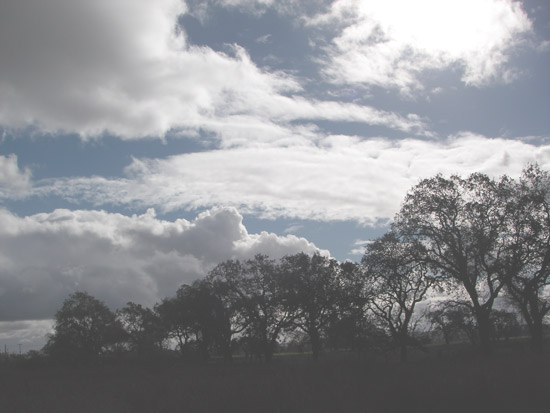 27 November 2006