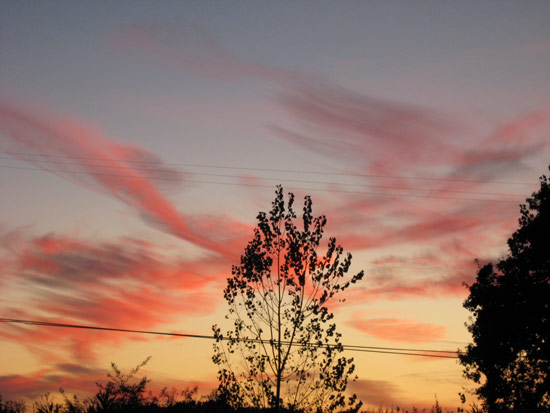 7 November 2008