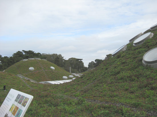 11 November 2008