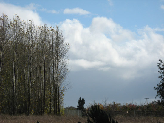 20 November 2009