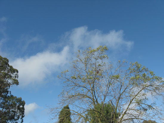20 November 2009