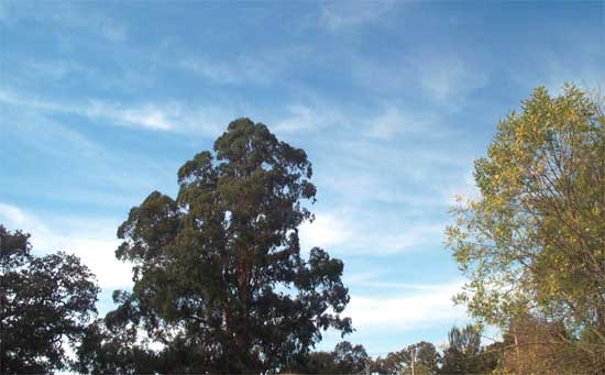 cloudy sky