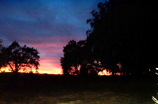 sunset