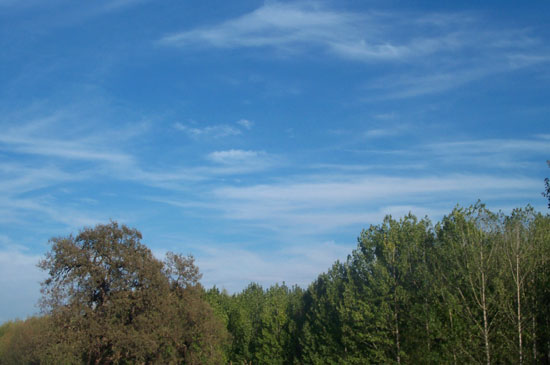 4 October 2003
