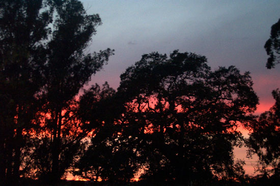 22 October 2003