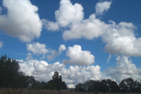 20 October 2004