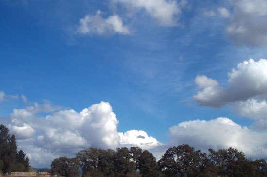 20 October 2004