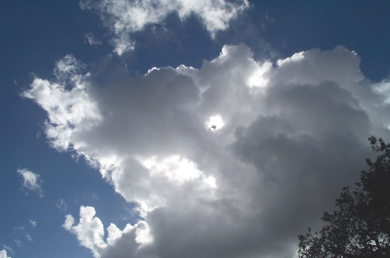 26 October 2004