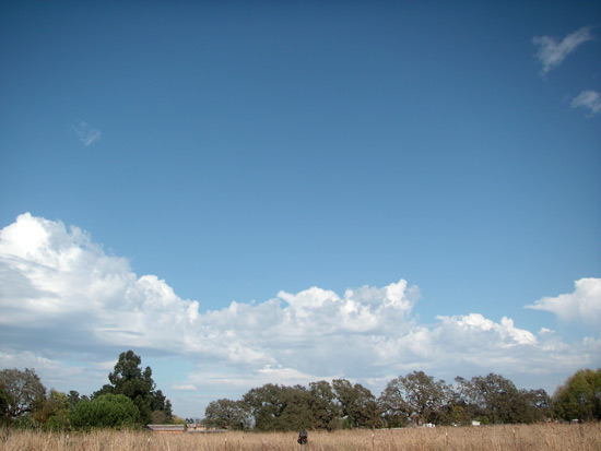 26 September 2005